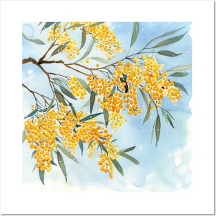 wattle Posters and Art